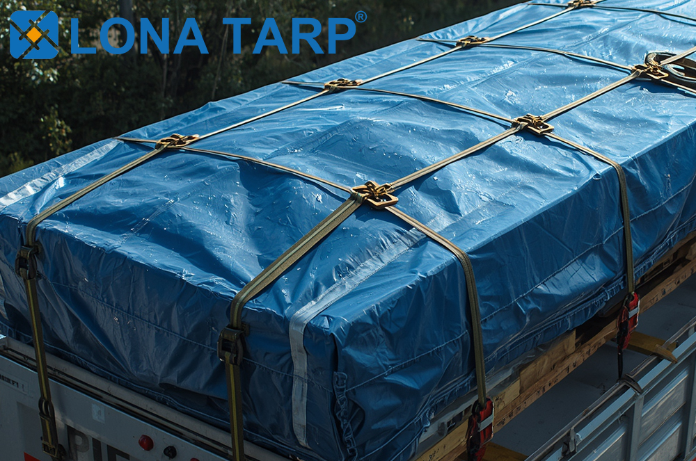 Roof Cargo with a Tarp
