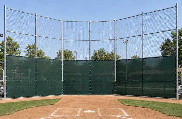 backstop-windscreen-application