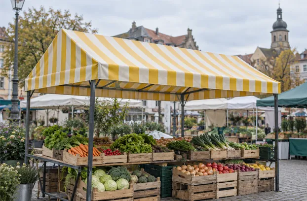 Market Stall Awning